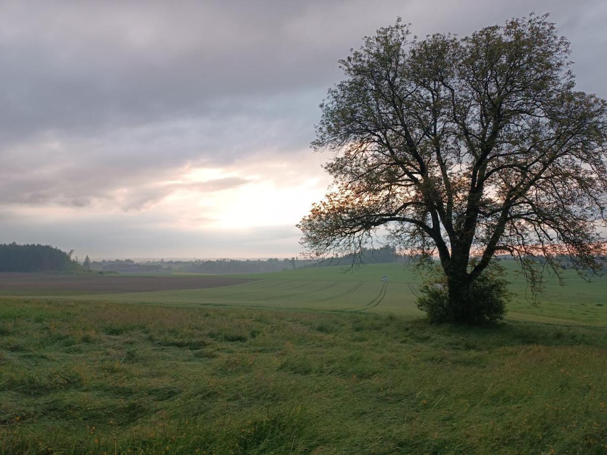 Bio Kinder Erlebnis Bauernhof Voit Sochtenau Exterior photo