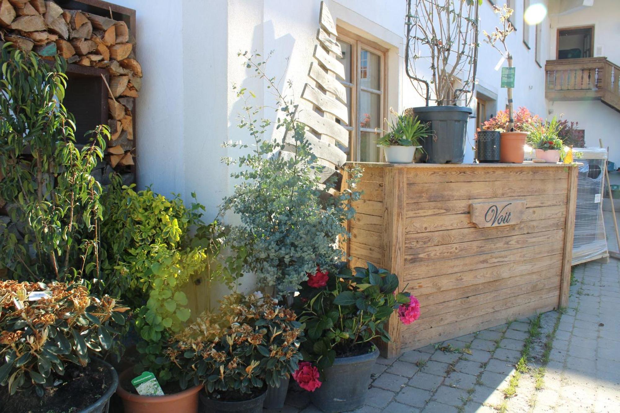 Bio Kinder Erlebnis Bauernhof Voit Sochtenau Exterior photo
