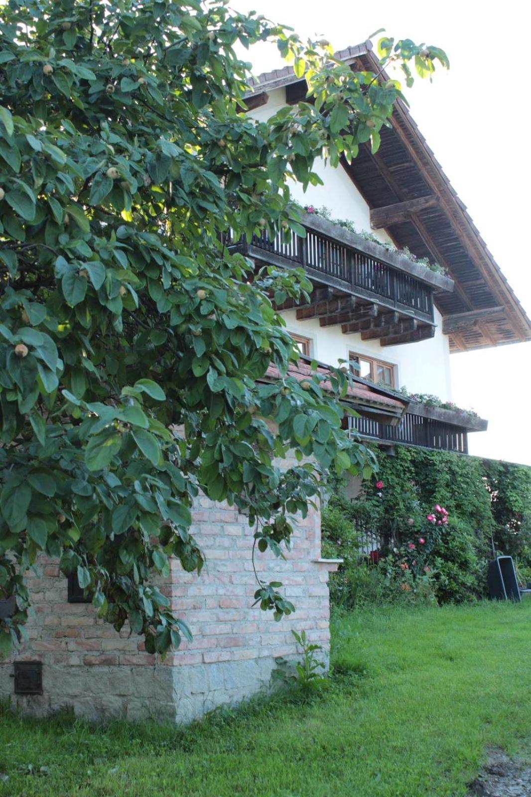 Bio Kinder Erlebnis Bauernhof Voit Sochtenau Exterior photo